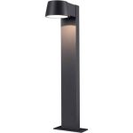 D'Lite Tuinverlichting Lira Zwart 7W 600lm 830 Warm Wit | IP54 